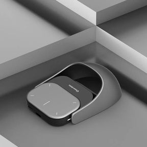 Parents Toy mouse